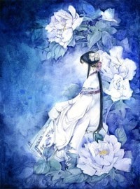 七夜宠姬